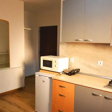 Elena Haus 3* Cluj-Napoca