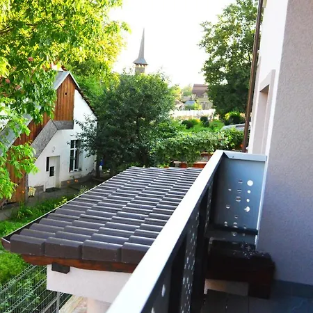 Elena Haus Kluż-Napoka