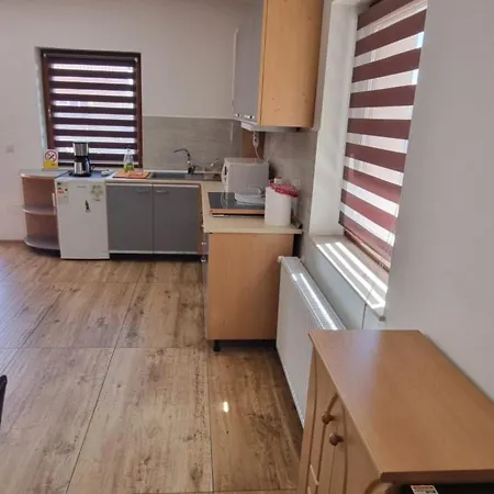 Elena Haus 3* Cluj-Napoca