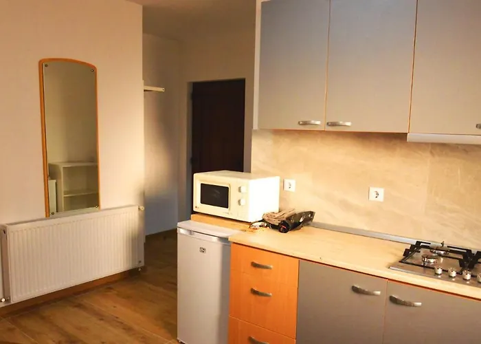 Elena Haus 4* Kluż-Napoka